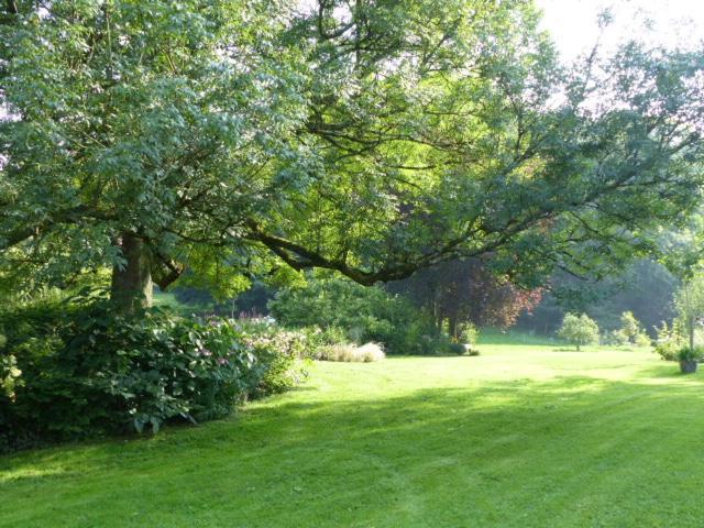 Le Jardin Du Rossignol Leilighet Willeman Eksteriør bilde